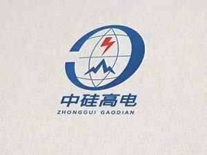 北京中硅高電科技有限公司簡(jiǎn)介